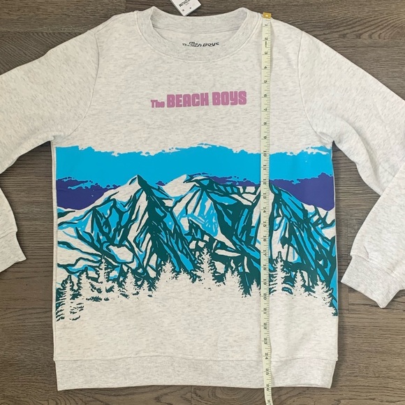 The Beach Boys Mountain Graphic Sweatshirt - Size M - Gray - NWT - Picture 7 of 8
